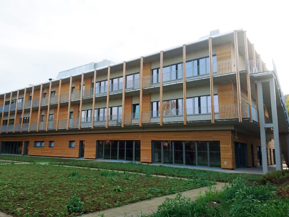 Außenansicht eines modernen Schulneubaus mit Holzfassade und großflächigen Fensterfronten